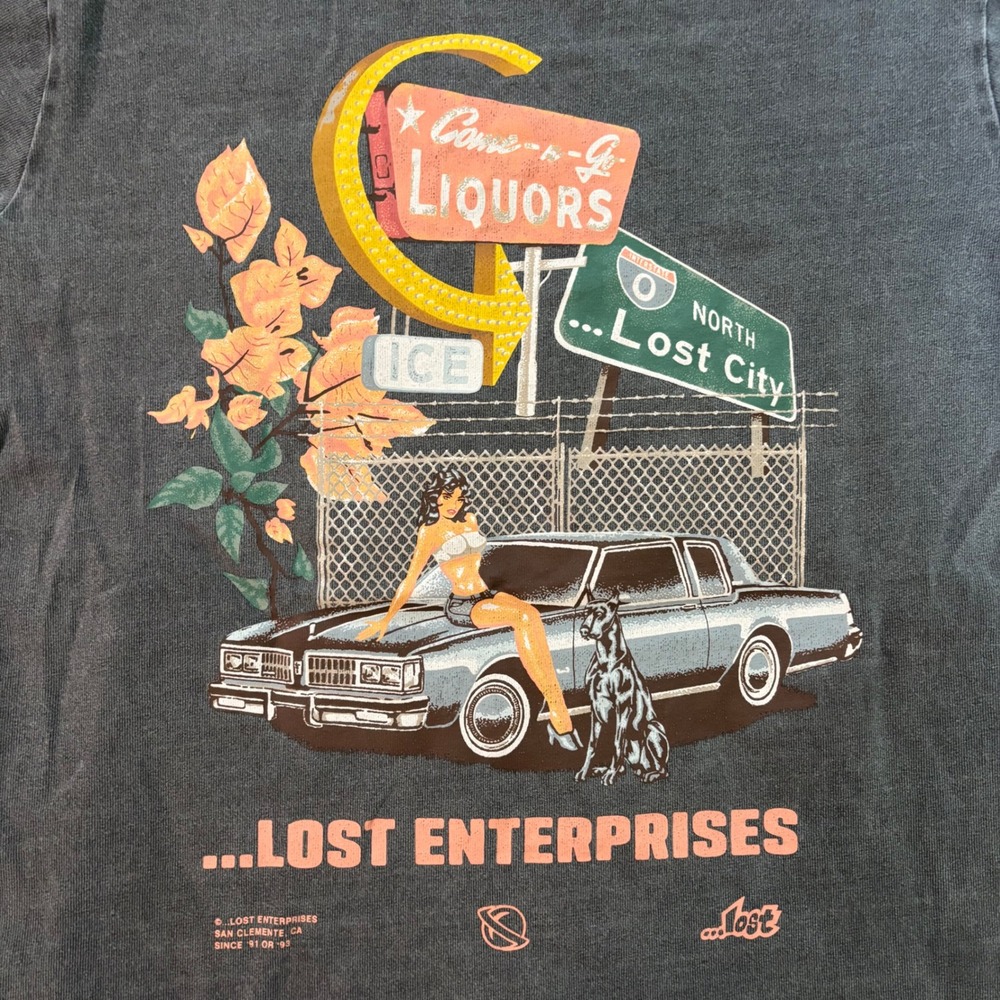 Lost Enterprises T Shirt Med Charcoal Gray Pinup Car Y2K Lost City Graphic Surf